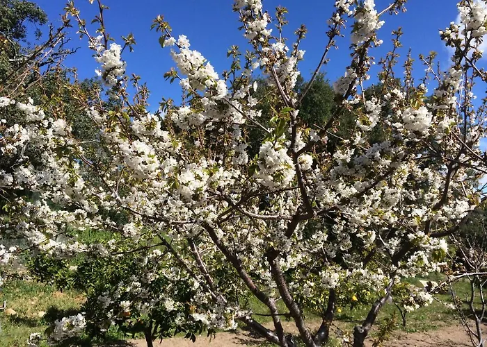 Casa La Vina Pedroso de Acim